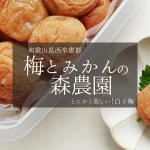 とにかく美しい白干梅！和歌山県西牟婁郡【梅とみかんの森農園】