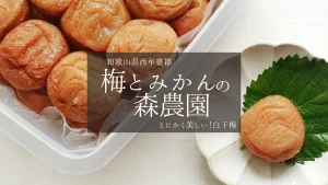 とにかく美しい白干梅！和歌山県西牟婁郡【梅とみかんの森農園】