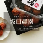 ガツン！と酸っぱい昔ながらの紫蘇梅/エコファーマー認定【坂口農園】