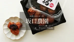 ガツン！と酸っぱい昔ながらの紫蘇梅/エコファーマー認定【坂口農園】