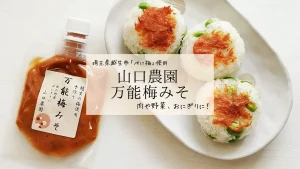 おにぎりや野菜炒めに！埼玉県越生町・山口農園さんの万能調味料「梅みそ」