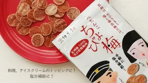 【梅見月/ちょび梅】手軽に塩分補給!料理のトッピングにも!